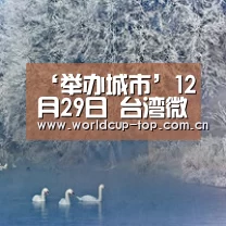 ‘举办城市’12月29日 台湾微整形之父 王笃行教授莅临亲诊