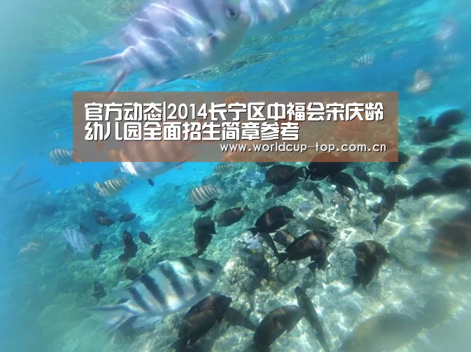 官方动态|2014长宁区中福会宋庆龄幼儿园全面招生简章参考(图4) 世界杯中文网