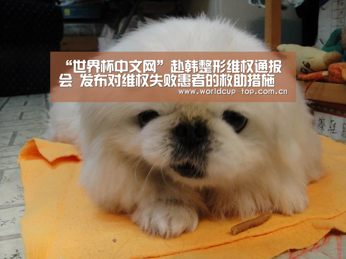 “世界杯中文网”赴韩整形维权通报会 发布对维权失败患者的救助措施(图4) 世界杯中文网