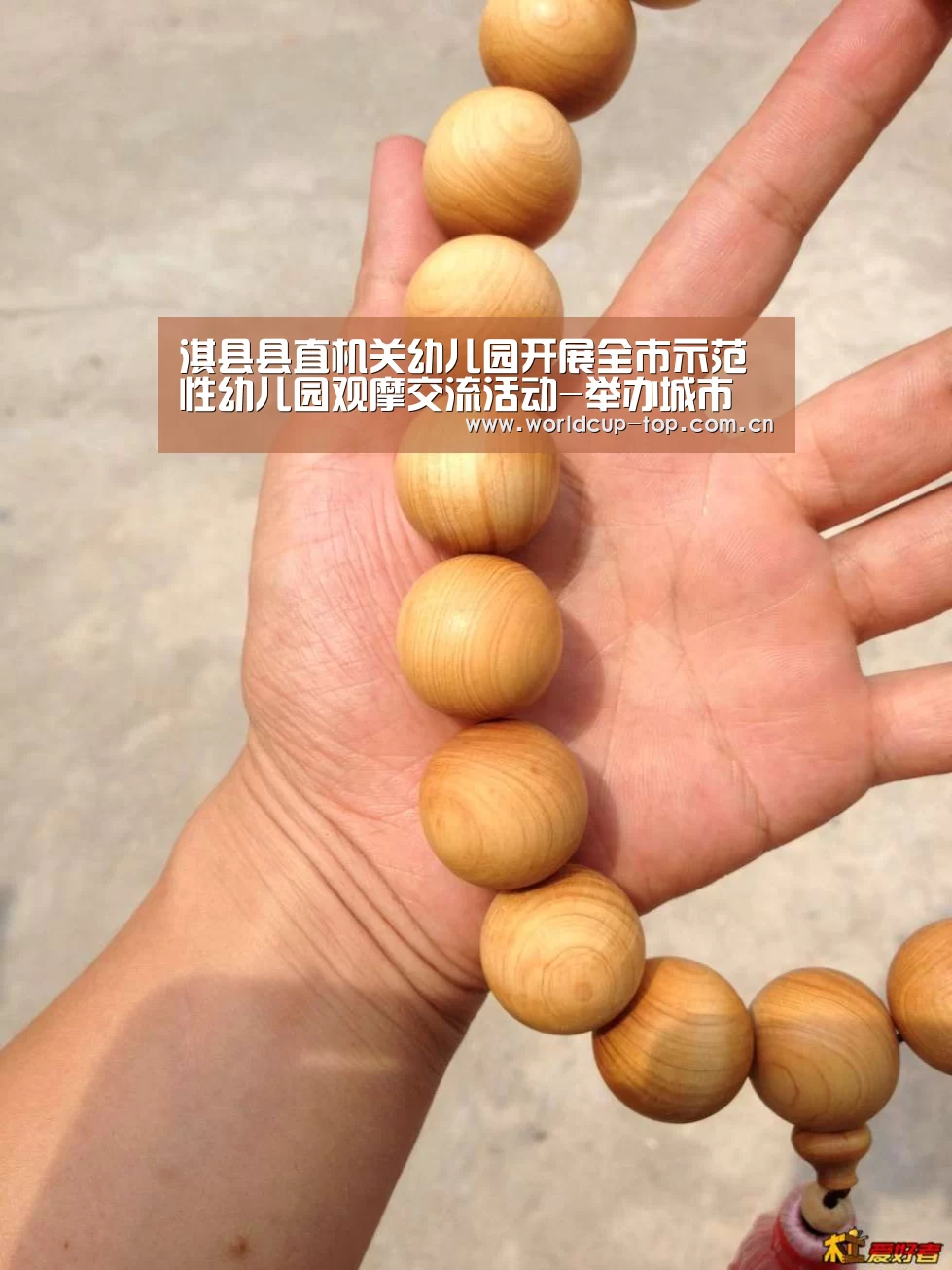淇县县直机关幼儿园开展全市示范性幼儿园观摩交流活动-举办城市(图4) 世界杯中文网