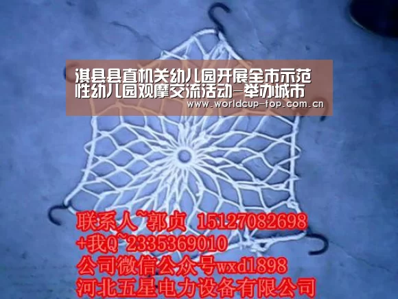 淇县县直机关幼儿园开展全市示范性幼儿园观摩交流活动-举办城市(图3) 官方动态