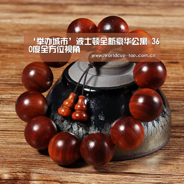 ‘举办城市’波士顿全新豪华公寓 360度全方位视角(图2) 官方动态