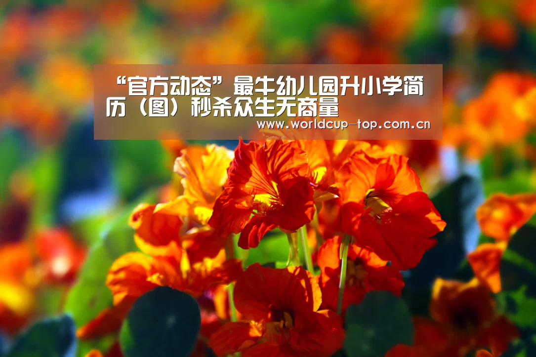 “官方动态”最牛幼儿园升小学简历(图)秒杀众生无商量(图3) 官方动态