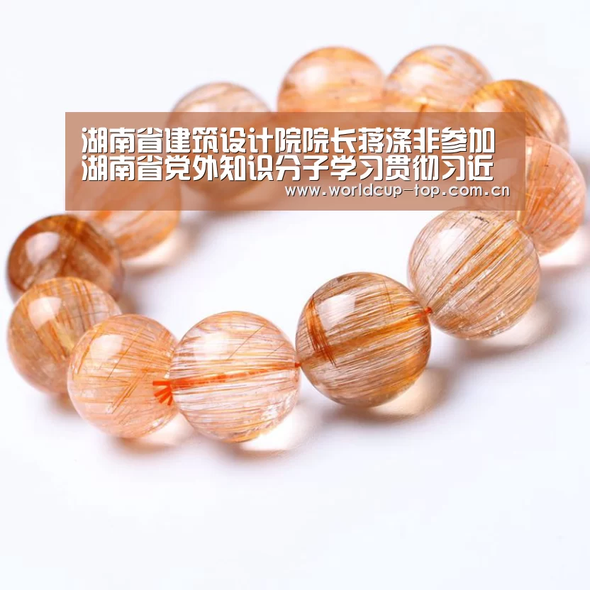 湖南省建筑设计院院长蒋涤非参加湖南省党外知识分子学习贯彻习近平总书记重要讲话精神座谈会|官方动态(图1) 举办城市